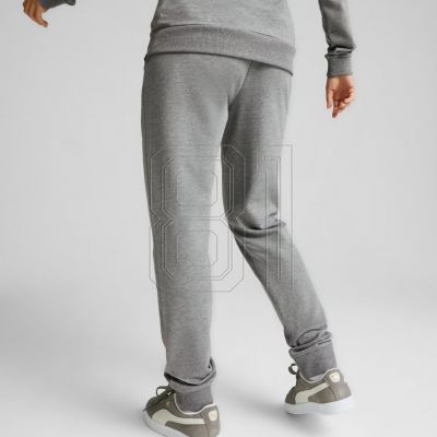 4. Puma Team Goal Casuals Hose W 658604 33