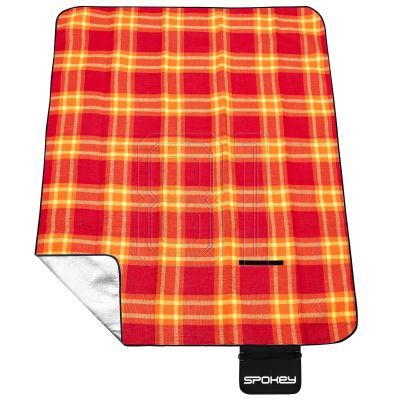 2. Picknick-Sonnenuntergang-Picknickdecke 922271