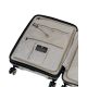 20. SwissBags Echo Kabinenkoffer 55 cm 17782 Champagner