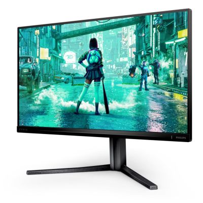 45. Philips Evnia 3000 25M2N3200U/00 Computermonitor 62,2 cm (24,5") 1920 x 1080 px Full HD LCD Grau