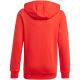5. Adidas Essentials Big Logo Hoodie Jr GN4037 Sweatshirt