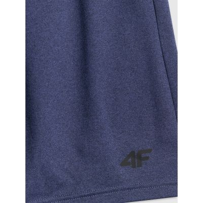 2. Schnelltrocknende Trainingsshorts für Herren 4F 4FWSS26TFSHM1277-31M