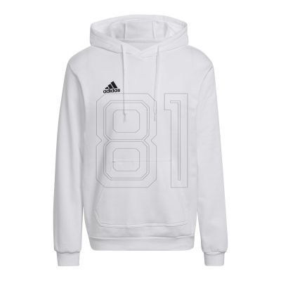 Adidas Entrada 22 M HG6302 Sweatshirt