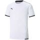 3. Puma teamLIGA Trikot Jr 704925 04