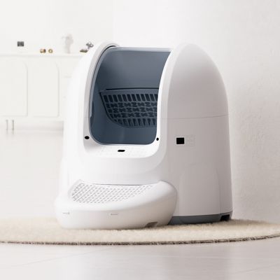 195. THORN+FIT Gusseisenbeschichtete Kettlebell 6kg