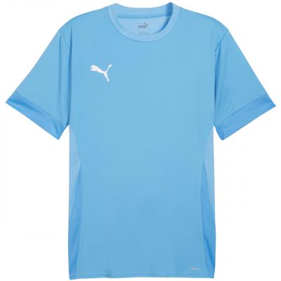 Puma teamGoal Spieltagstrikot M 705747 18