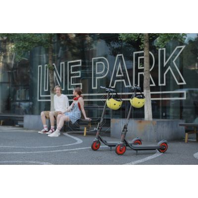 24. Segway-Elektroroller ZING C20