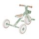 3. Dreirad/Laufrad LEARNING TRIKE 2in1 PLUS ECOLOGIC (737-109)
