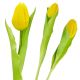 4. Gelbe Tulpe, 31 cm, naturgetreue Frühlingsdekoration