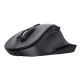 2. Vertraue Fyda Black Mouse