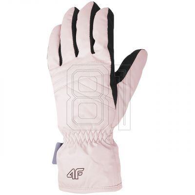 Skihandschuhe 4F FNK F106 W 4FWAW23AFGLF106 56S