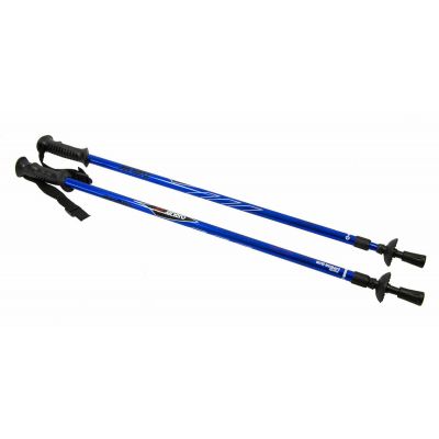 2. Klassische blaue Trekkingstöcke