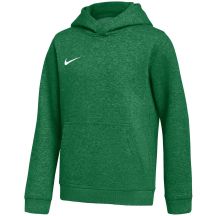 Nike Park 26 Fleece-Hoodie für Kinder, Grün, IB1226 302 L