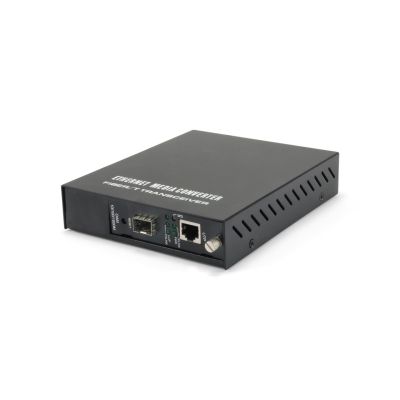 2. LevelOne GVM-1000 - Medienkonverter - Ethernet, Fast Ethernet - 10Base-T, 100Base-TX, 1000Base-T, 1000Base-X - RJ-45 / SFP (mini-GBIC)