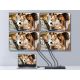 2. HDMI-Video-Splitter 4x HDMI (332717)