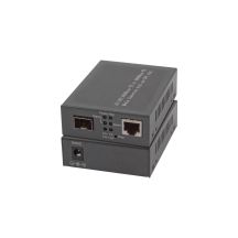 EFB Elektronik EL029 Netzwerk-Konverter 1000 Mbit/s Multifunktional, Einzeln Schwarz