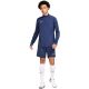 4. Nike Dri-Fit Academy 25 M Shorts FZ9776 410