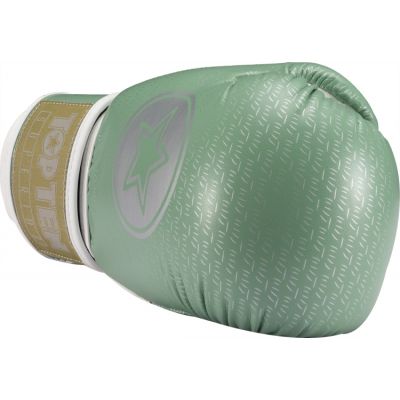 5. RTT-SUPERIOR Boxhandschuhe 10 oz