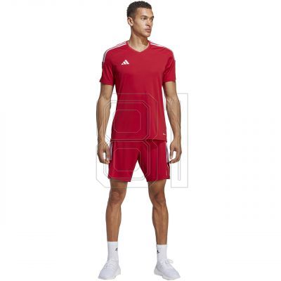 5. Shorts adidas Tiro 23 League M IB8082