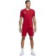 5. Shorts adidas Tiro 23 League M IB8082