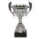 Triumph Cup 4234