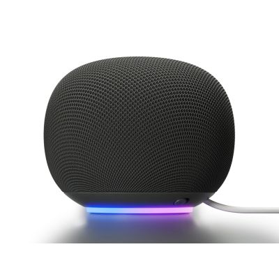 4. Google Home Grau