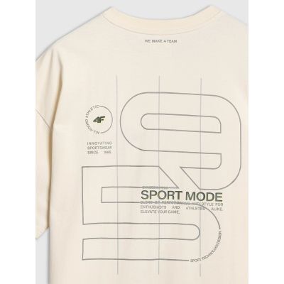 6. Oversize-T-Shirt für Herren mit Aufdruck 4F 4FRAW25TTSHM3220-11S