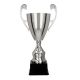 6. CUP 4105B