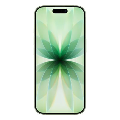 2. Apple iPhone 17, 16 cm (6,3 Zoll), Dual-SIM, iOS 26, 5G, USB Typ-C, 512 GB, Salbeigrün