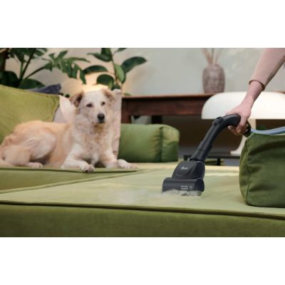 62. Hoover HE120PET 011 7809079 2,5-Liter-Staubsauger mit Trockenfunktion und 700-Watt-Staubbeutel