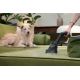 62. Hoover HE120PET 011 7809079 2,5-Liter-Staubsauger mit Trockenfunktion und 700-Watt-Staubbeutel
