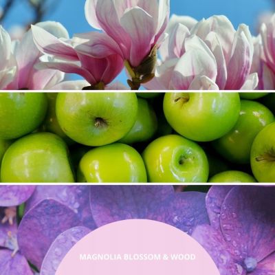 2. Nachfüllpackung für Duftstäbchen 250 ml MAGNOLIENBLÜTE & HOLZ-MILLEFIORI