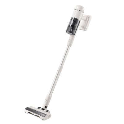 Roborock H60 Hub Akku-Staubsauger