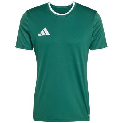 2. adidas Entrada 26 Herren-Trikot grün KE9832