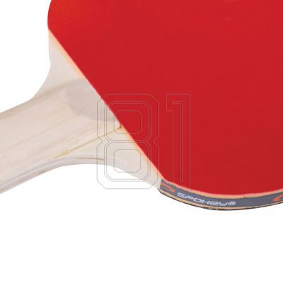 9. SPOKEY TRAINING 81918 table tennis bats