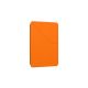 3. AmazingThing Minimalistische Hülle für iPad Pro M5 11" - Orange