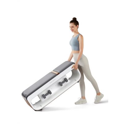 17. Kingsmith FBB1C Multifunktionale Trainingsbank