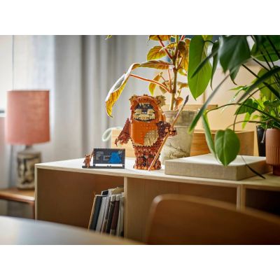 9. LEGO Star Wars 75430 Ewok Wicket