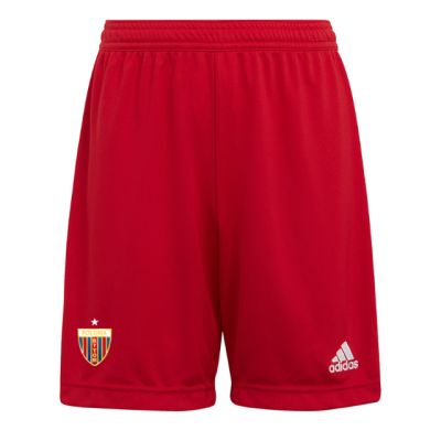 16. adidas Entrada 22 Jr H57501 Shorts