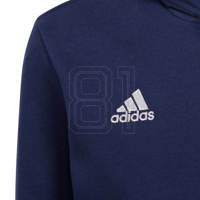 3. Adidas Entrada 22 Hoody Jr Sweatshirt H57517