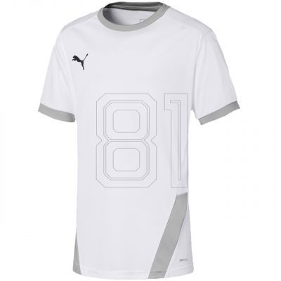 Puma teamGOAL 23 Jersey Jr T-shirt 704160 04