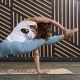 10. Gaiam Bedruckte Kork-Mandala-Yogamatte 5 mm 63495