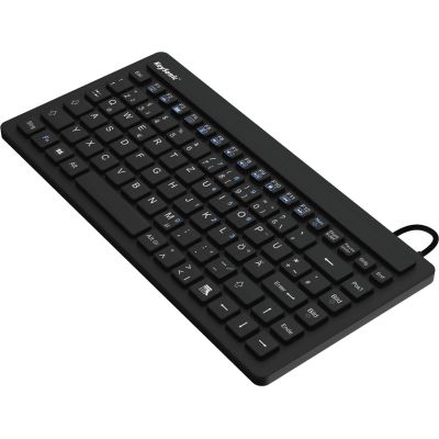 KeySonic KSK-3230IN (US) Industrietastatur USB QWERTY US Englisch Schwarz