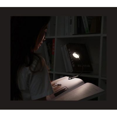 17. Baseus Mini-LED-Lampe mit Clip grau (DGRAD-0G)