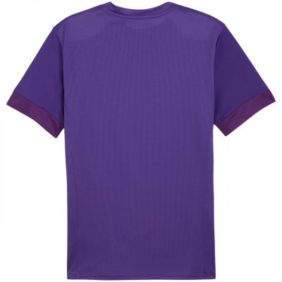 2. Puma teamGoal Spieltagstrikot M 705747 10