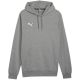 5. Puma Team Goal Casuals Hoody M 658618 33