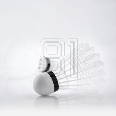2. Teloon TB017 Badminton-Federbälle