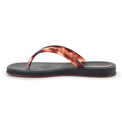 4. IPANEMA GLOW TRENDY AD SCHWARZ/SCHILDKRÖTE/BRAUN 27419-BR843