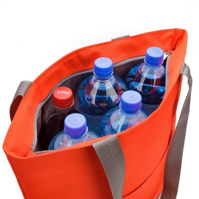 4. Meteor Floe 20L Orange Thermotasche