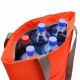 4. Meteor Floe 20L Orange Thermotasche